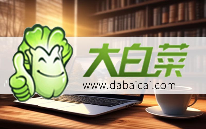 大白菜u盤安裝win10-大白菜U盤安裝win10